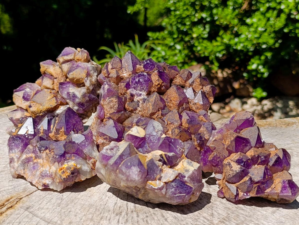 Natural Dark Amethyst Clusters x 5 From Mapatizya, Zambia - Toprock Gemstones and Minerals 
