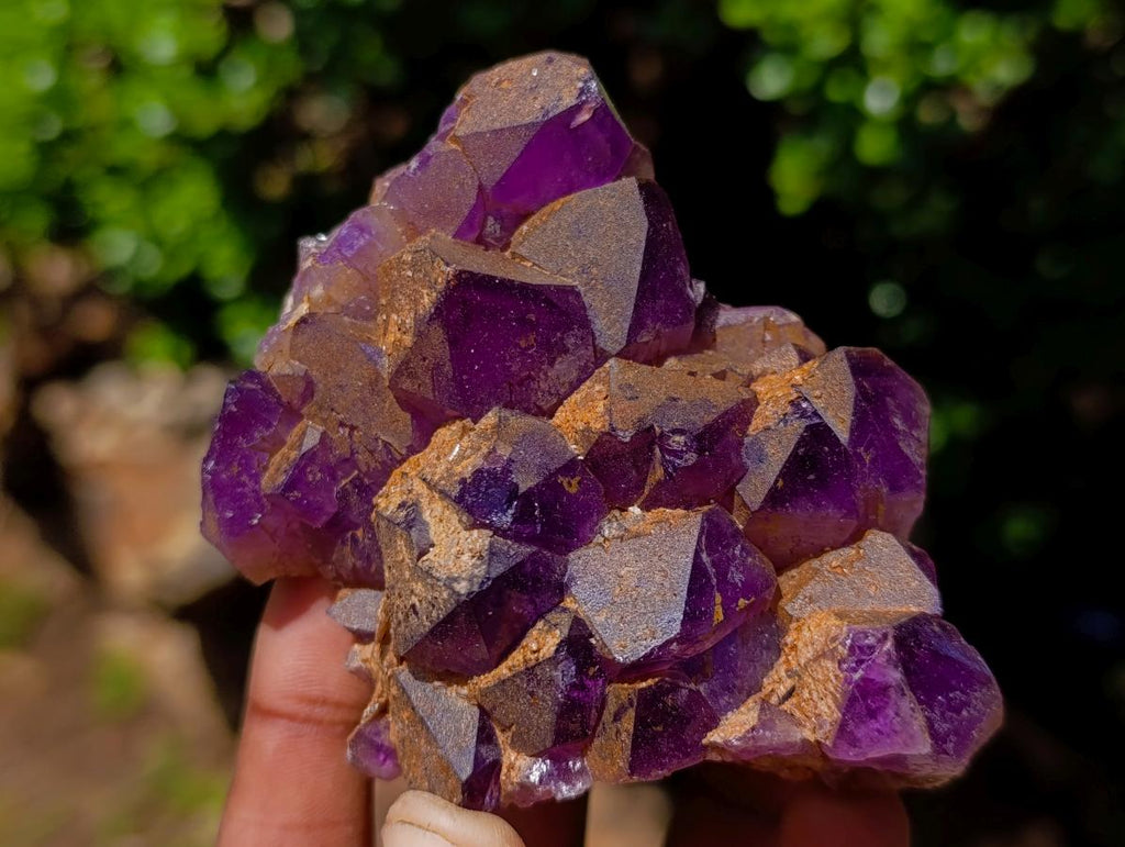 Natural Dark Amethyst Clusters x 5 From Mapatizya, Zambia - Toprock Gemstones and Minerals 