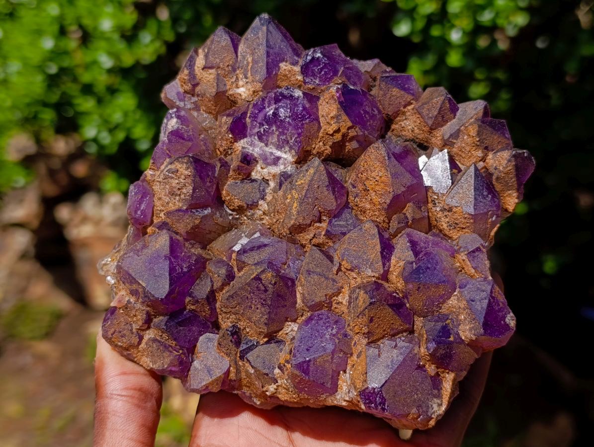 Natural Dark Amethyst Clusters x 5 From Mapatizya, Zambia - Toprock Gemstones and Minerals 