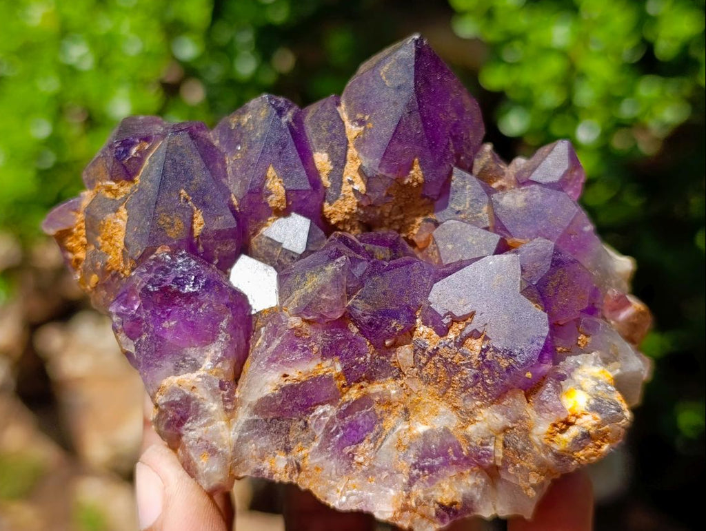 Natural Dark Amethyst Clusters x 5 From Mapatizya, Zambia - Toprock Gemstones and Minerals 