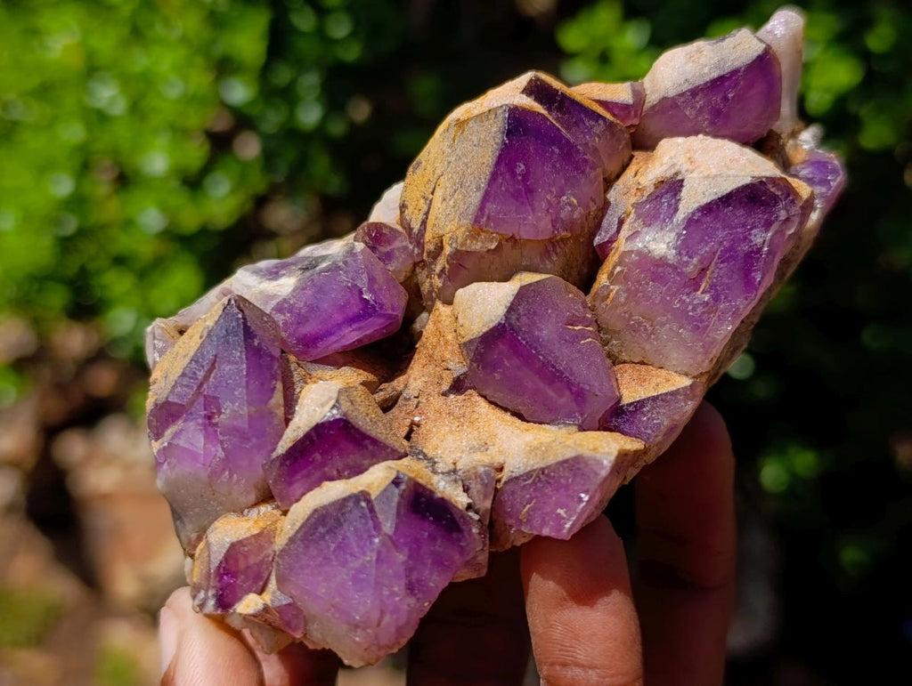 Natural Dark Amethyst Clusters x 5 From Mapatizya, Zambia - Toprock Gemstones and Minerals 