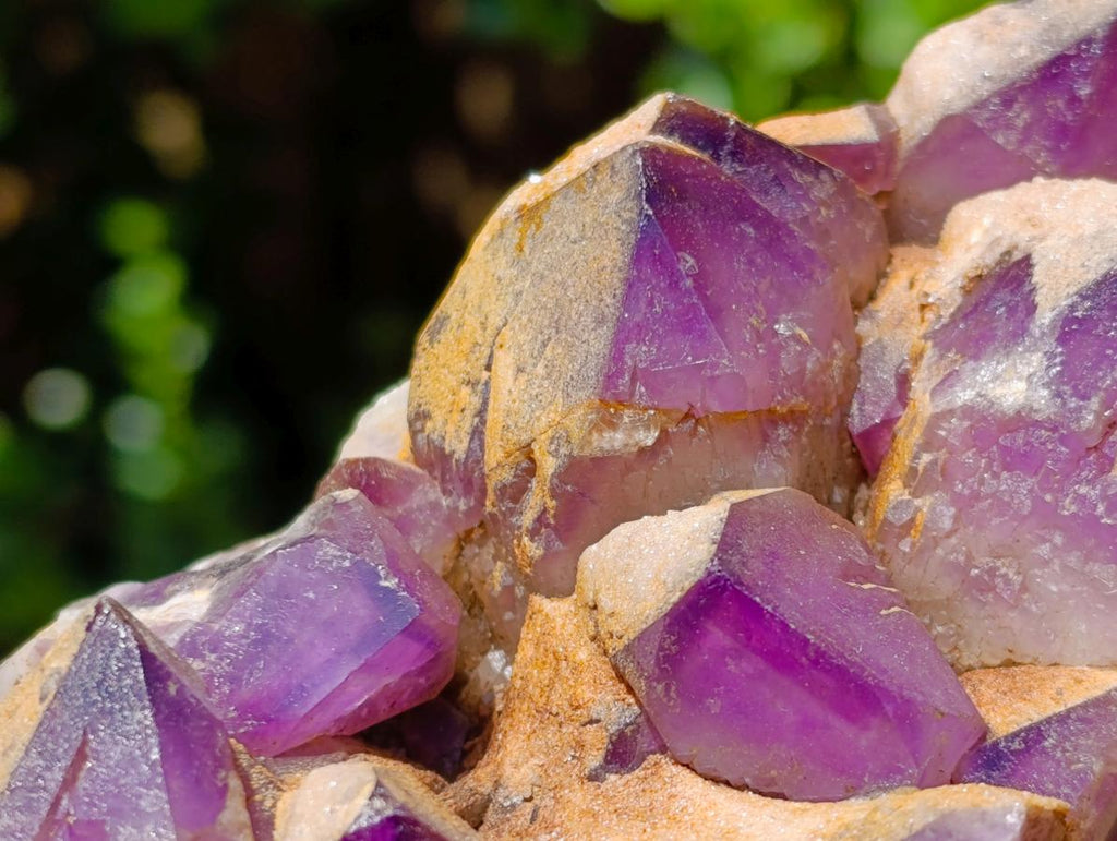 Natural Dark Amethyst Clusters x 5 From Mapatizya, Zambia - Toprock Gemstones and Minerals 