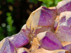 Natural Dark Amethyst Clusters x 5 From Mapatizya, Zambia - Toprock Gemstones and Minerals 