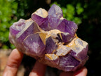 Natural Dark Amethyst Clusters x 5 From Mapatizya, Zambia - Toprock Gemstones and Minerals 