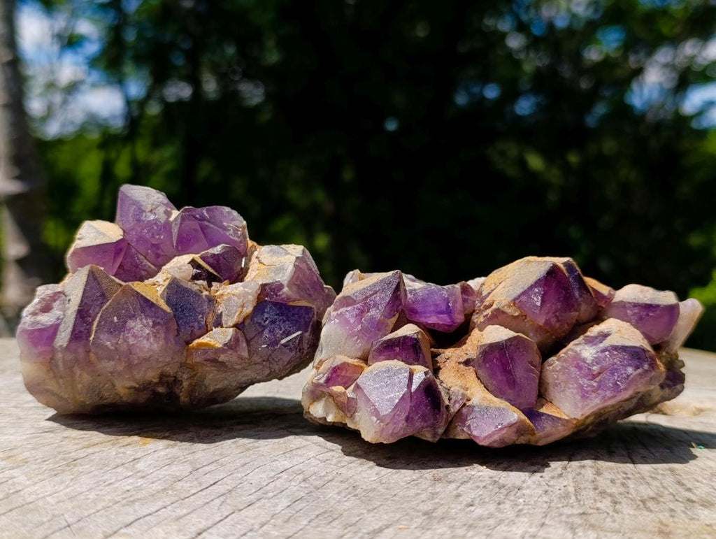 Natural Dark Amethyst Clusters x 5 From Mapatizya, Zambia - Toprock Gemstones and Minerals 