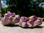 Natural Dark Amethyst Clusters x 5 From Mapatizya, Zambia - Toprock Gemstones and Minerals 