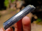 Natural Aegirine Crystals x 1,01 Kg Lot From Zomba, Malawi - Toprock Gemstones and Minerals 