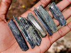 Natural Aegirine Crystals x 1,01 Kg Lot From Zomba, Malawi - Toprock Gemstones and Minerals 