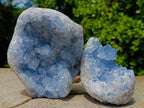 Natural Blue Celestite Specimens x 2 From Sakoany, Madagascar - Toprock Gemstones and Minerals 