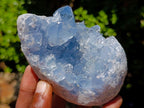 Natural Blue Celestite Specimens x 2 From Sakoany, Madagascar - Toprock Gemstones and Minerals 