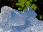 Natural Blue Celestite Specimens x 2 From Sakoany, Madagascar - Toprock Gemstones and Minerals 