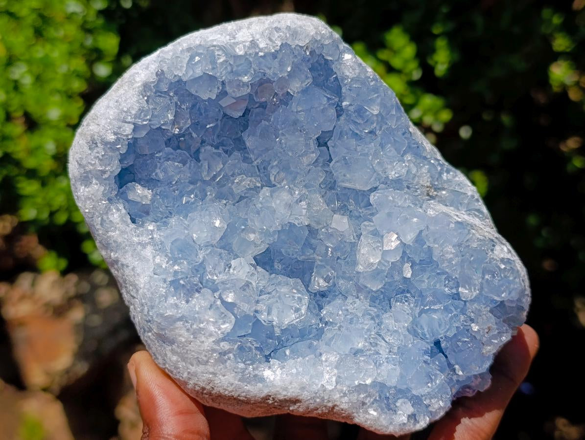 Natural Blue Celestite Specimens x 2 From Sakoany, Madagascar - Toprock Gemstones and Minerals 