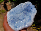 Natural Blue Celestite Specimens x 2 From Sakoany, Madagascar - Toprock Gemstones and Minerals 