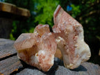 Natural Red Hematoid Quartz Crystal Clusters x 6 From Karoi, Zimbabwe - Toprock Gemstones and Minerals 