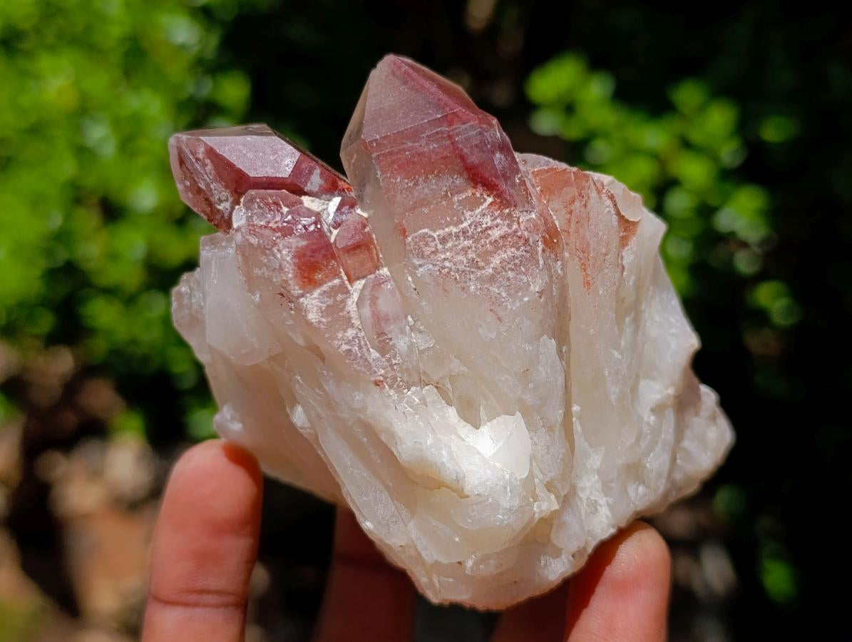 Natural Red Hematoid Quartz Crystal Clusters x 6 From Karoi, Zimbabwe - Toprock Gemstones and Minerals 