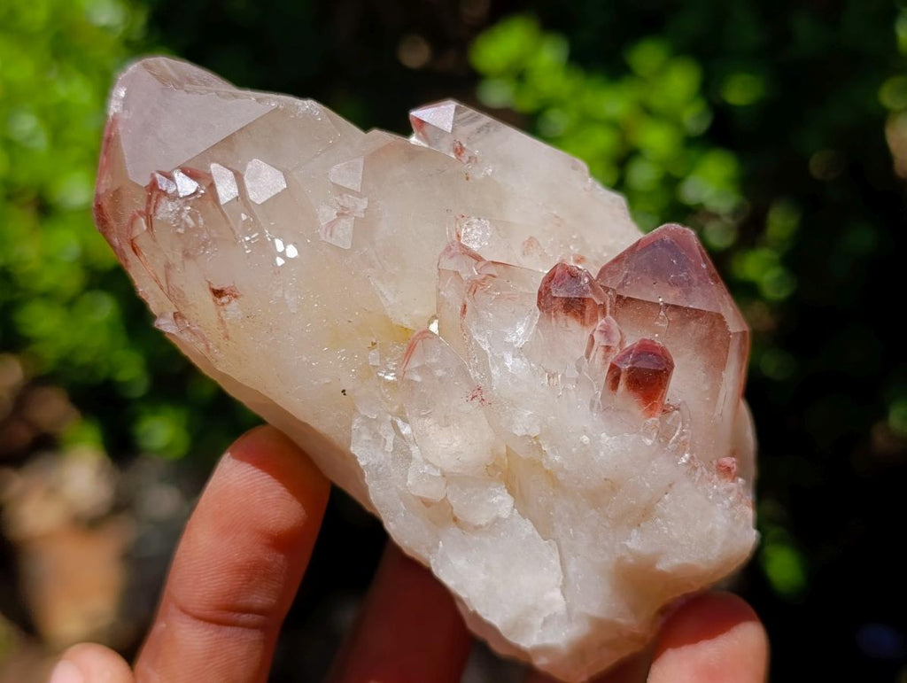 Natural Red Hematoid Quartz Crystal Clusters x 6 From Karoi, Zimbabwe - Toprock Gemstones and Minerals 