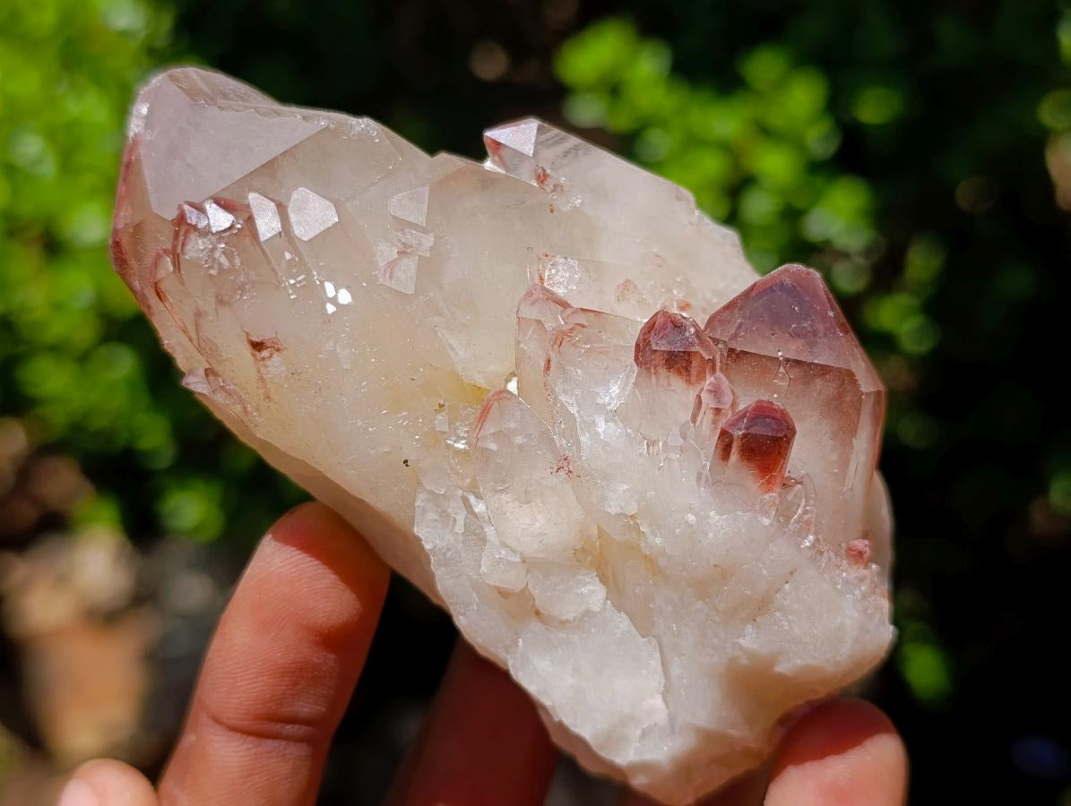 Natural Red Hematoid Quartz Crystal Clusters x 6 From Karoi, Zimbabwe - Toprock Gemstones and Minerals 