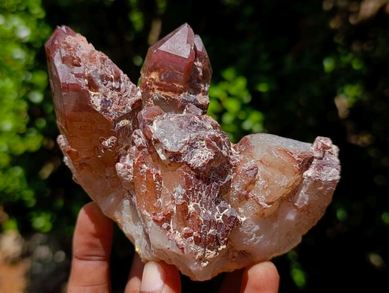 Natural Red Hematoid Quartz Crystal Clusters x 6 From Karoi, Zimbabwe - Toprock Gemstones and Minerals 