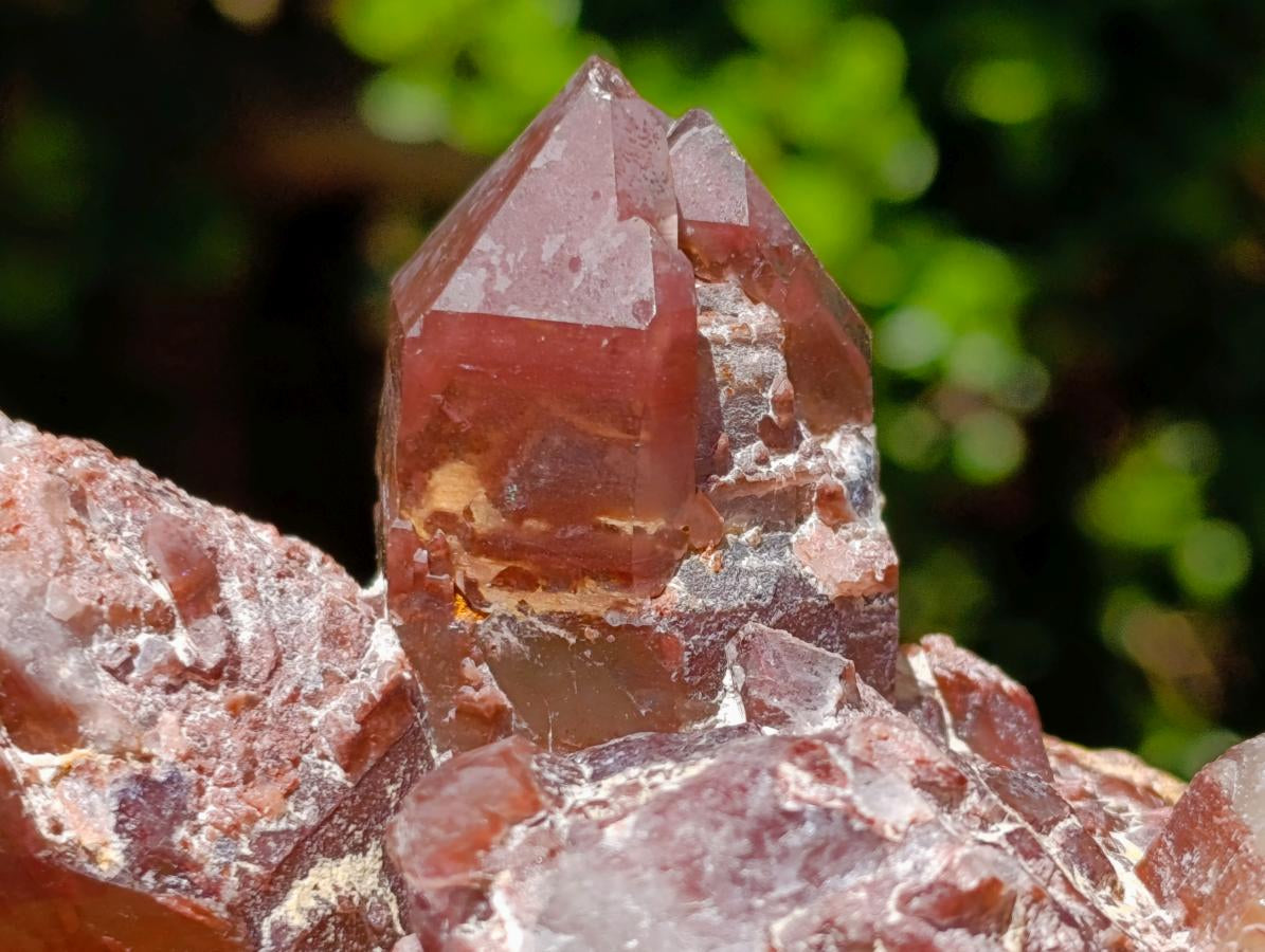 Natural Red Hematoid Quartz Crystal Clusters x 6 From Karoi, Zimbabwe - Toprock Gemstones and Minerals 
