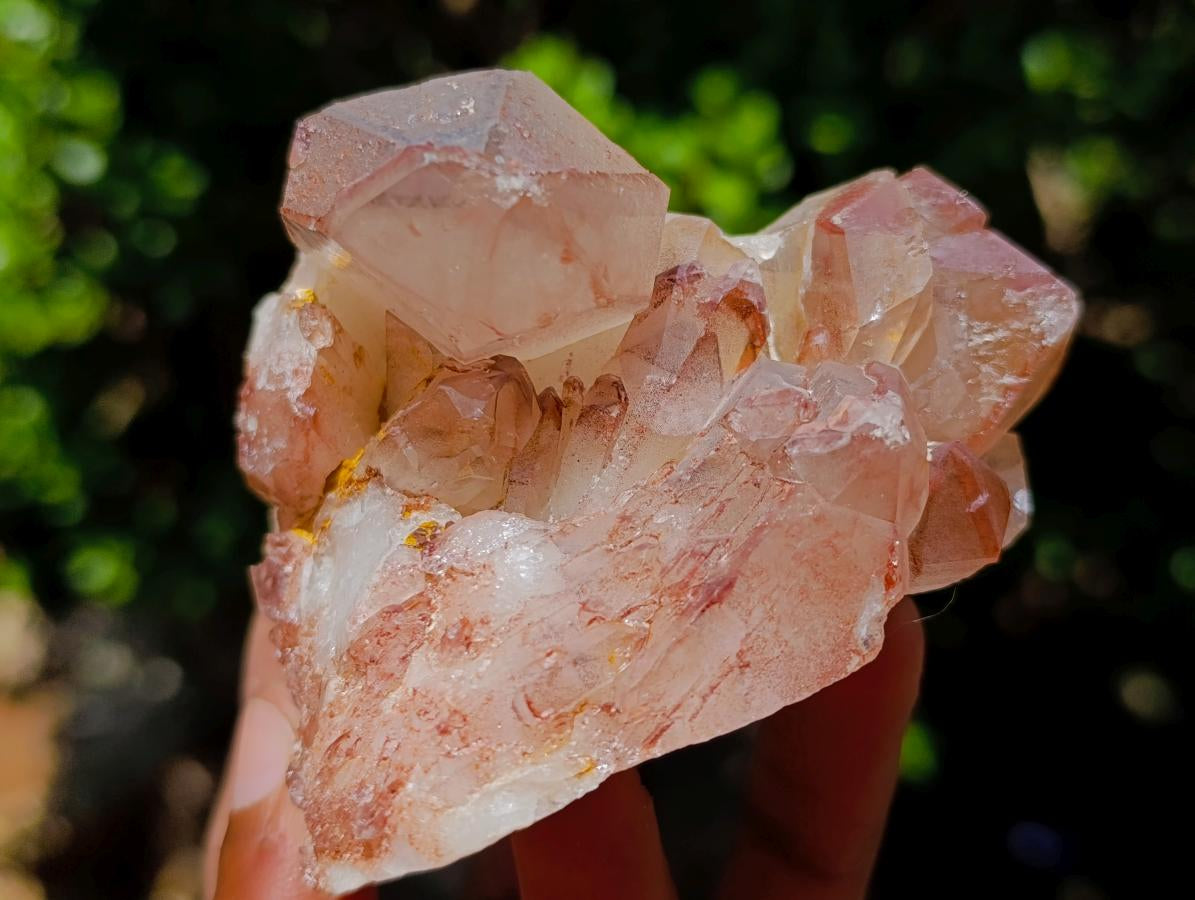Natural Red Hematoid Quartz Crystal Clusters x 6 From Karoi, Zimbabwe - Toprock Gemstones and Minerals 