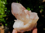 Natural Red Hematoid Quartz Crystal Clusters x 6 From Karoi, Zimbabwe - Toprock Gemstones and Minerals 