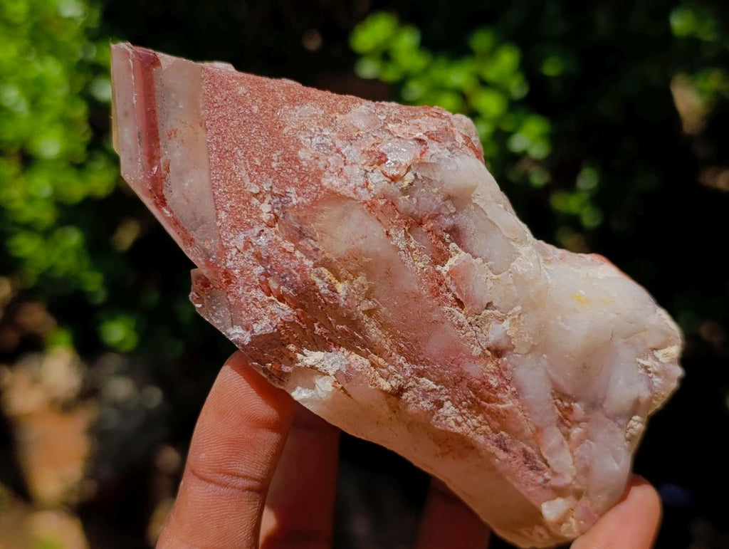 Natural Red Hematoid Quartz Crystal Clusters x 6 From Karoi, Zimbabwe - Toprock Gemstones and Minerals 