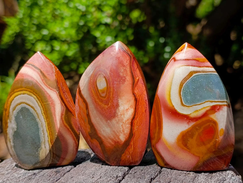 Polished Polychrome Jasper Flames x 12 From Androka, Madagascar - Toprock Gemstones and Minerals 