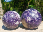 Polished Large Silver Leaf Lepidolite Spheres x 2 From Zimbabwe - Toprock Gemstones and Minerals 