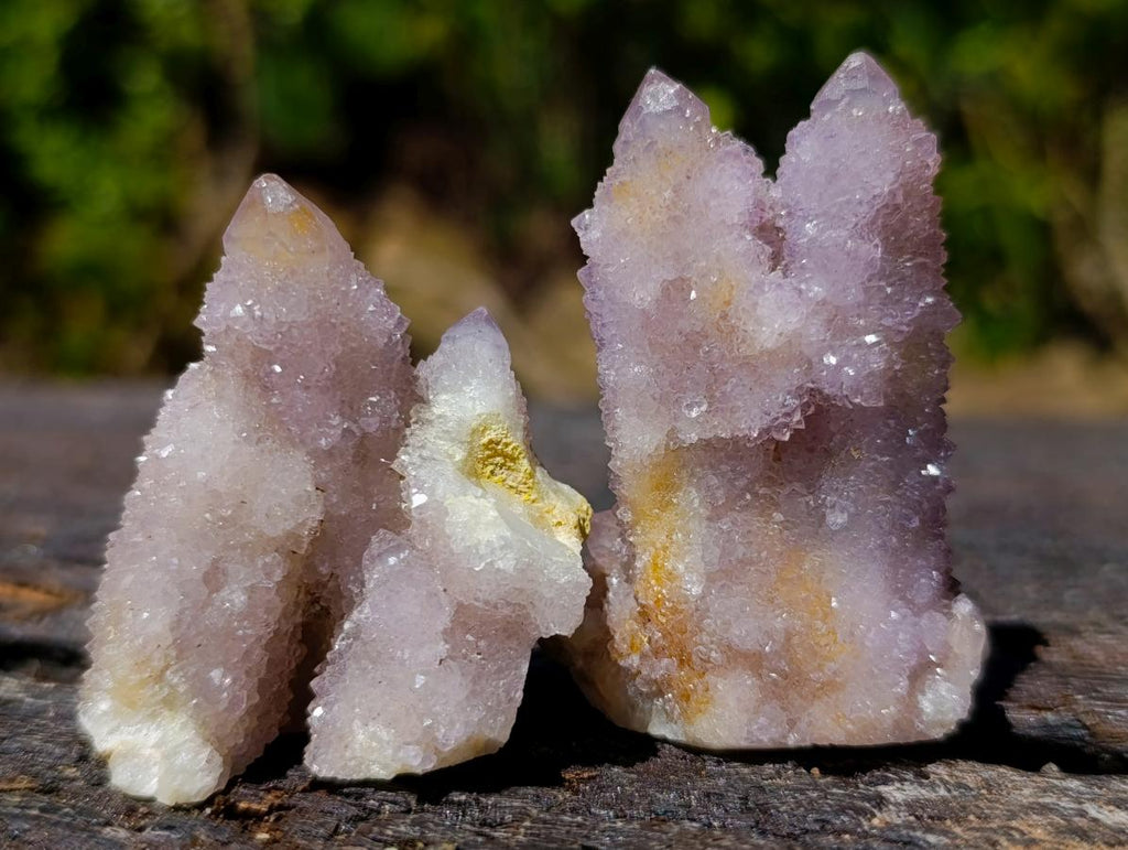 Natural Spirit Amethyst Crystals and Clusters x 19 From Boekenhouthoek, South Africa - Toprock Gemstones and Minerals 