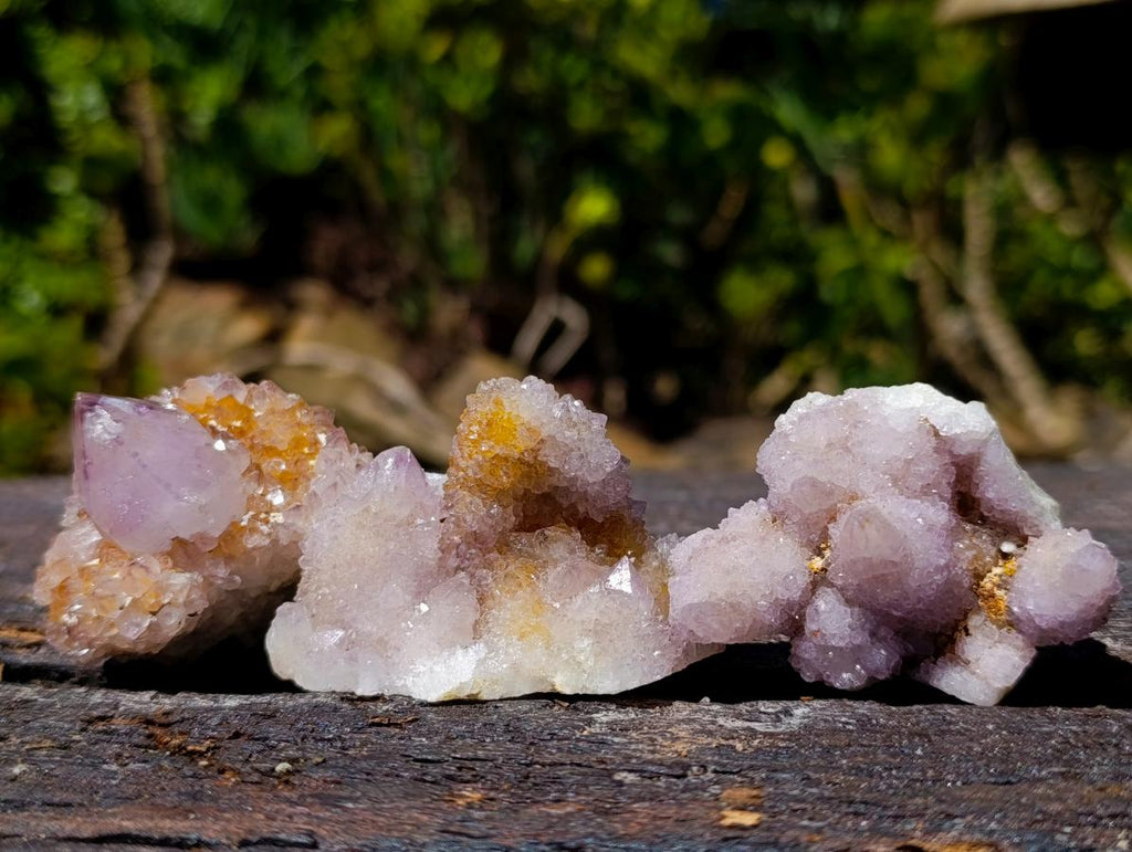 Natural Spirit Amethyst Crystals and Clusters x 19 From Boekenhouthoek, South Africa - Toprock Gemstones and Minerals 