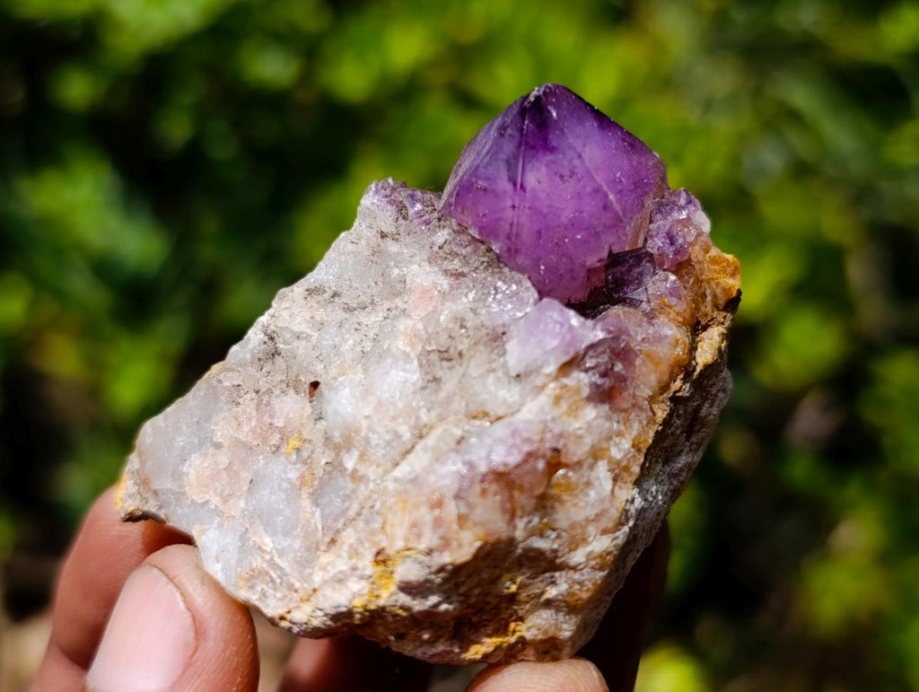 Natural Spirit Amethyst Crystals and Clusters x 19 From Boekenhouthoek, South Africa - Toprock Gemstones and Minerals 