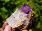 Natural Spirit Amethyst Crystals and Clusters x 19 From Boekenhouthoek, South Africa - Toprock Gemstones and Minerals 
