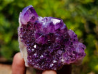 Natural Spirit Amethyst Crystals and Clusters x 19 From Boekenhouthoek, South Africa - Toprock Gemstones and Minerals 