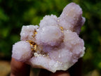 Natural Spirit Amethyst Crystals and Clusters x 19 From Boekenhouthoek, South Africa - Toprock Gemstones and Minerals 