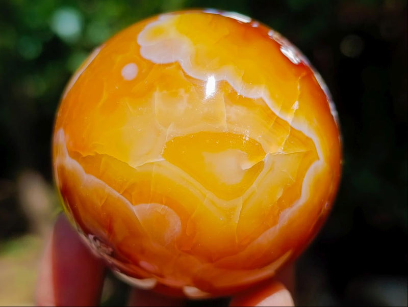 Polished Carnelian Agate Gemstone Spheres x 6 From Madagascar - Toprock Gemstones and Minerals 