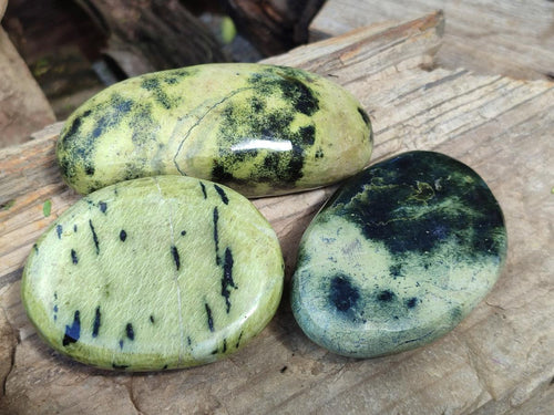 Polished Leopard Stone Free Forms x 12 From Zimbabwe - Toprock Gemstones and Minerals 
