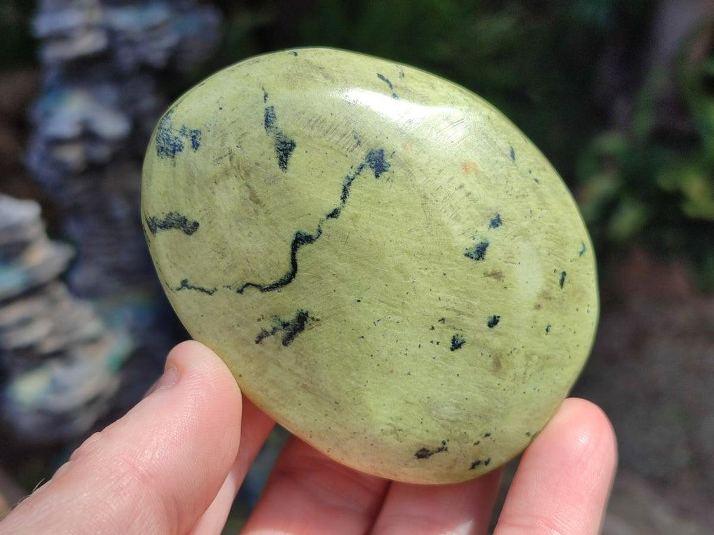 Polished Leopard Stone Free Forms x 12 From Zimbabwe - Toprock Gemstones and Minerals 