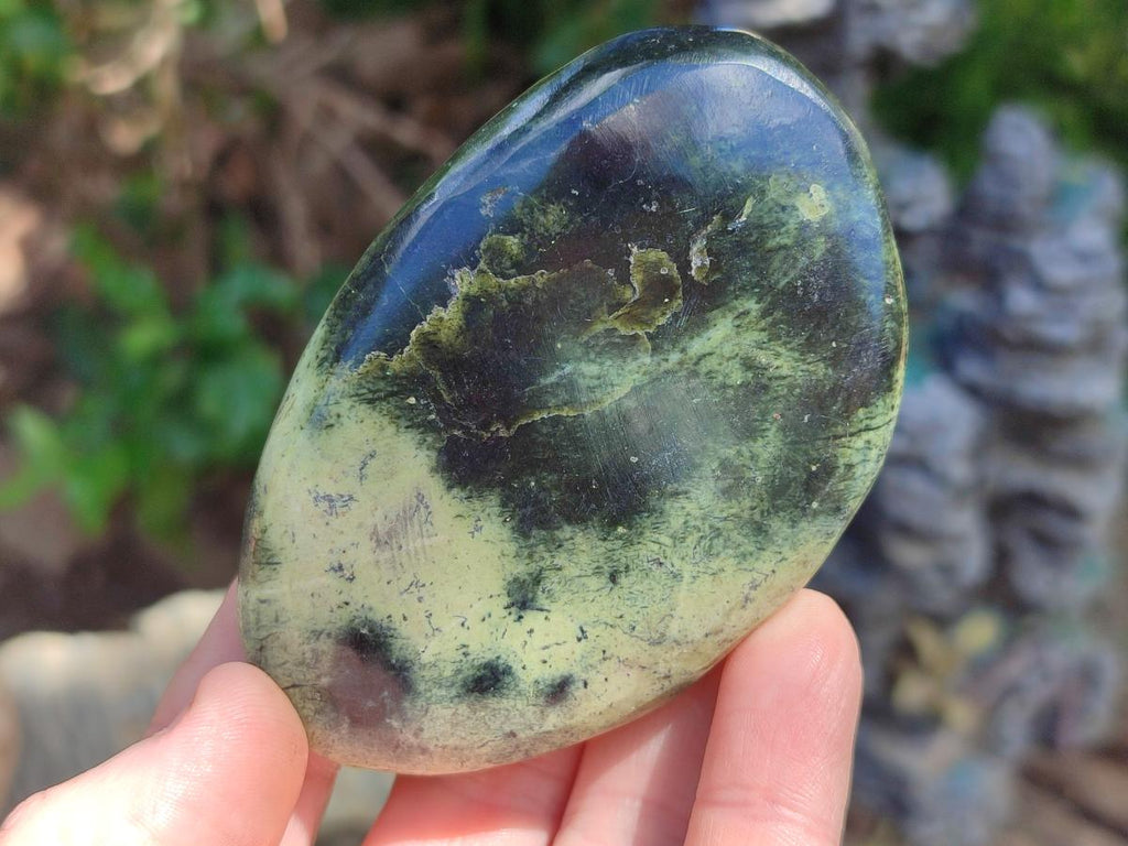 Polished Leopard Stone Free Forms x 12 From Zimbabwe - Toprock Gemstones and Minerals 