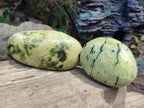 Polished Leopard Stone Free Forms x 12 From Zimbabwe - Toprock Gemstones and Minerals 