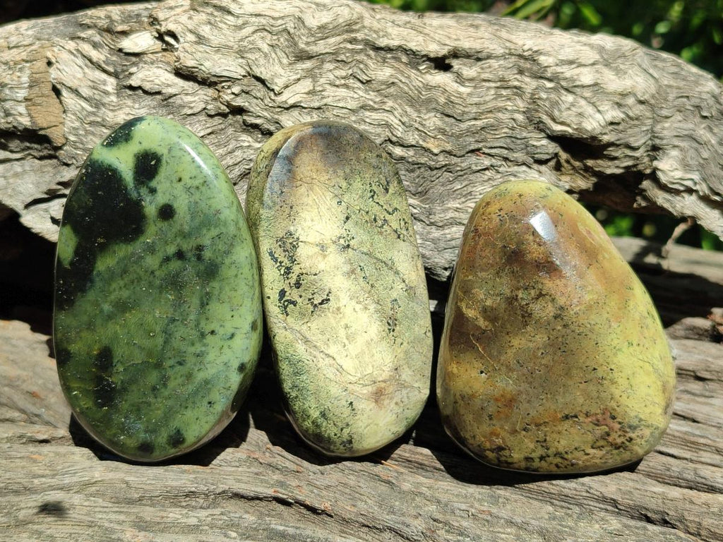 Polished Leopard Stone Free Forms x 12 From Zimbabwe - Toprock Gemstones and Minerals 