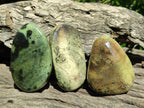 Polished Leopard Stone Free Forms x 12 From Zimbabwe - Toprock Gemstones and Minerals 