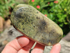Polished Leopard Stone Free Forms x 12 From Zimbabwe - Toprock Gemstones and Minerals 