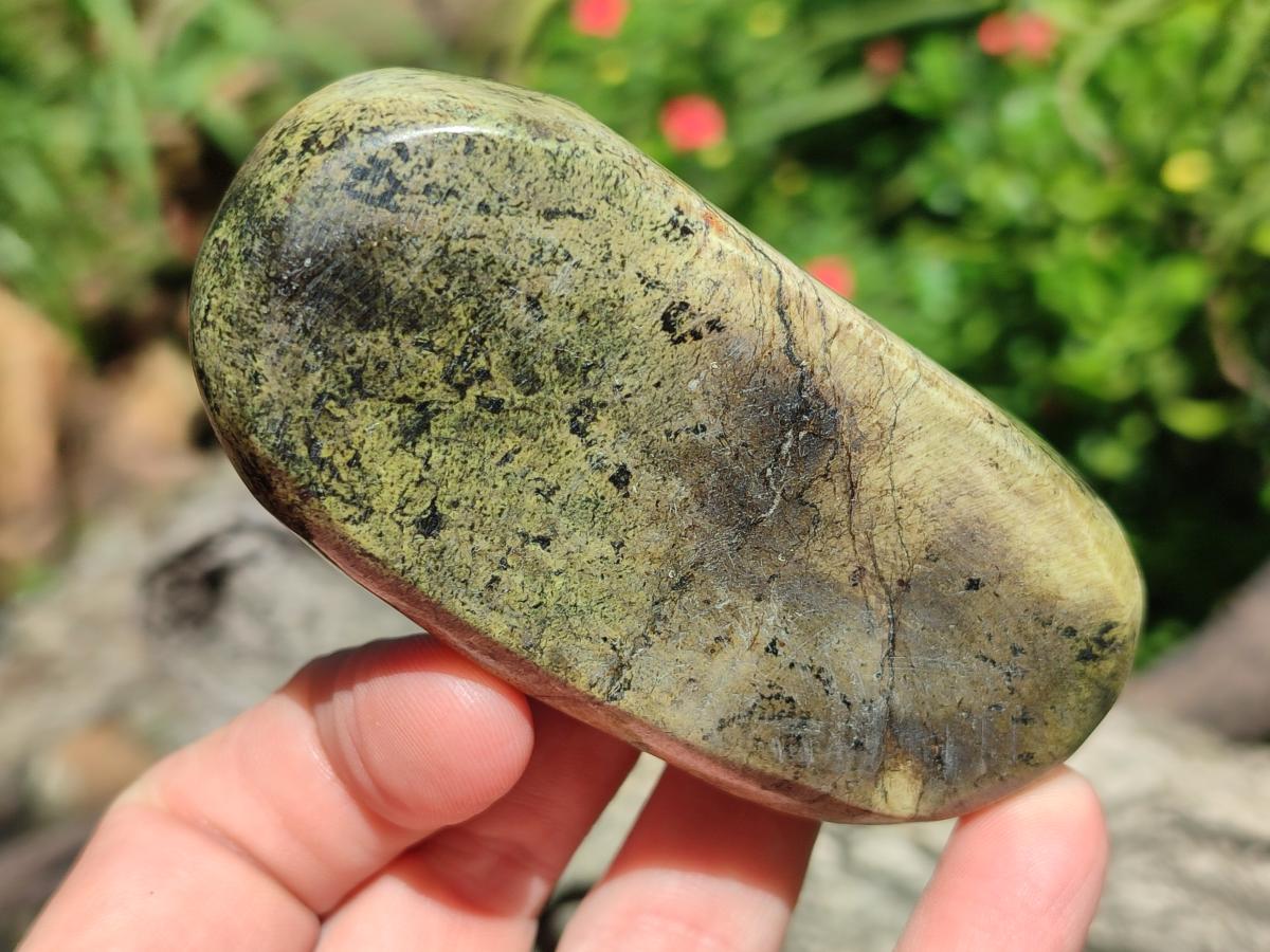 Polished Leopard Stone Free Forms x 12 From Zimbabwe - Toprock Gemstones and Minerals 