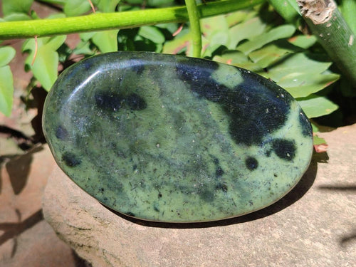 Polished Leopard Stone Free Forms x 12 From Zimbabwe - Toprock Gemstones and Minerals 