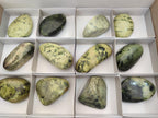 Polished Leopard Stone Free Forms x 12 From Zimbabwe - Toprock Gemstones and Minerals 