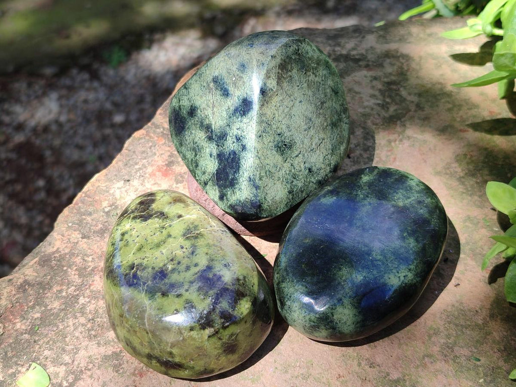 Polished Leopard Stone Free Forms x 12 From Zimbabwe - Toprock Gemstones and Minerals 