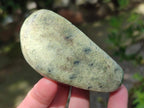 Polished Leopard Stone Free Forms x 12 From Zimbabwe - Toprock Gemstones and Minerals 