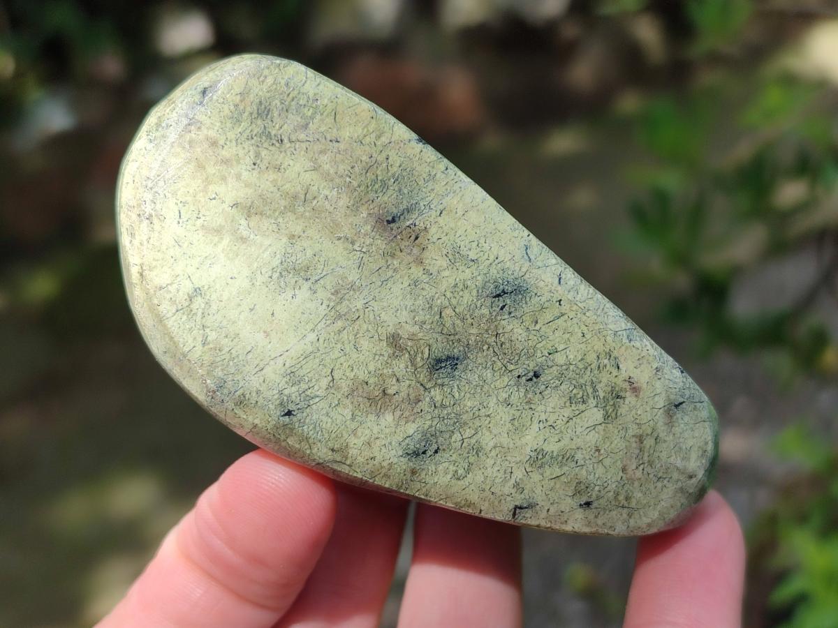 Polished Leopard Stone Free Forms x 12 From Zimbabwe - Toprock Gemstones and Minerals 