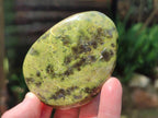 Polished Leopard Stone Free Forms x 12 From Zimbabwe - Toprock Gemstones and Minerals 