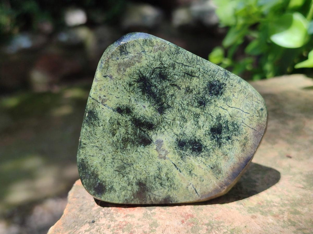Polished Leopard Stone Free Forms x 12 From Zimbabwe - Toprock Gemstones and Minerals 